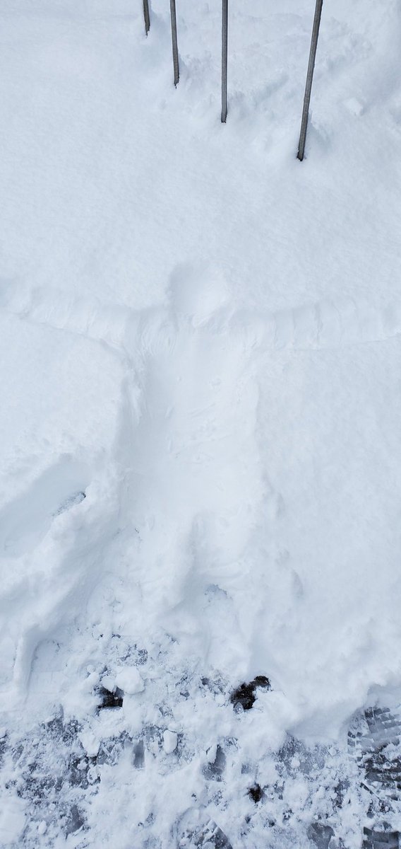 sugibo_m's tweet photo. 一晩で20cmの積雪は久しぶり🌨️
朝から子供と雪合戦したり、小さい雪だるまと雪うさぎ作った🎶☃️
#雪だるま、#雪うさぎ、#田舎暮らし https://t.co/imay63InCf