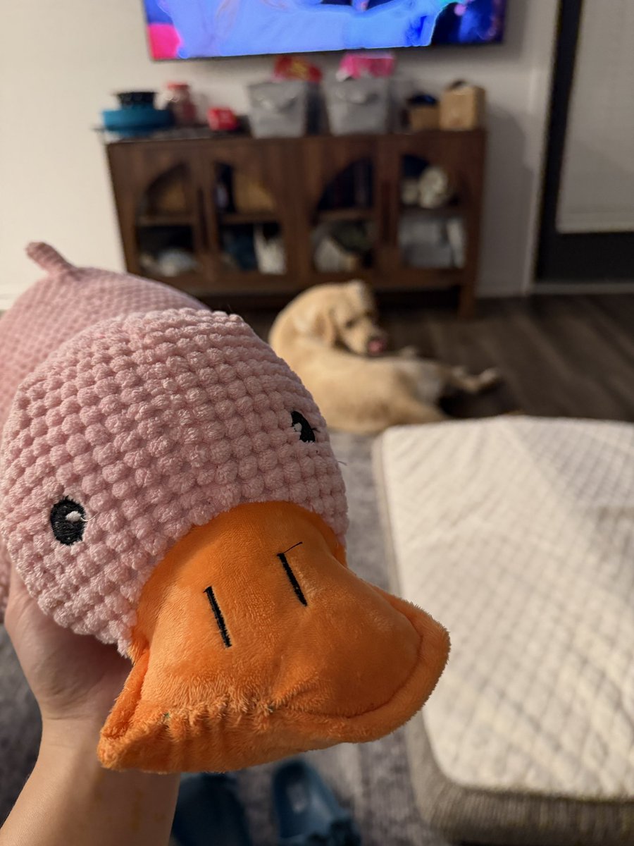 Victoria Young, OMS4 tweet media