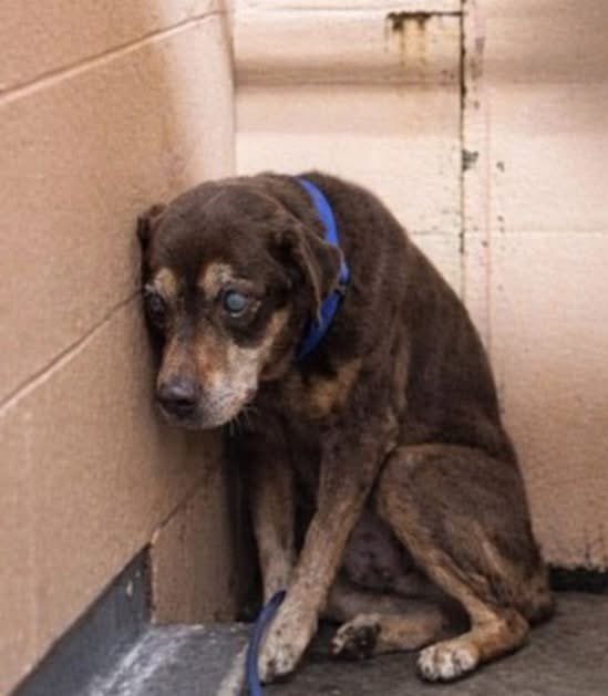 Lisa Brabson. tweet media