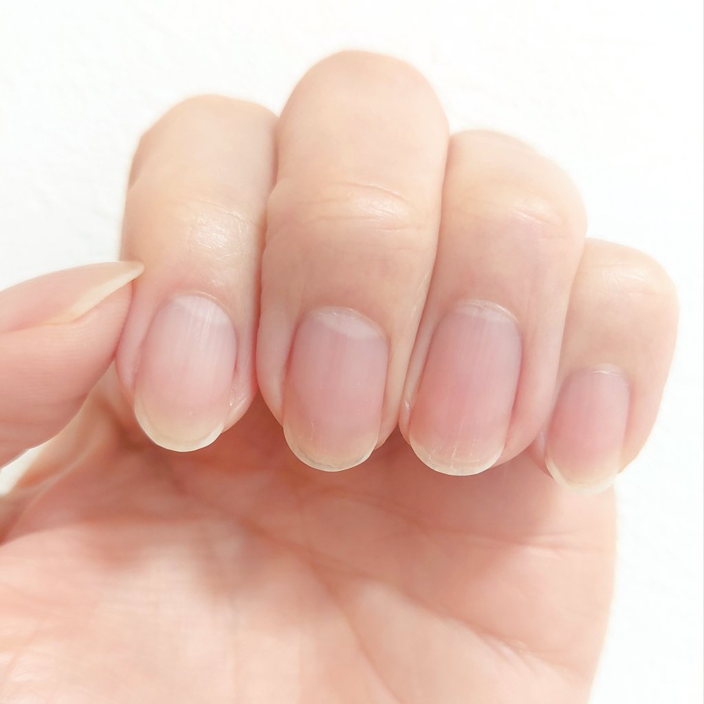 nobu (@_nobu34_) / Posts / X