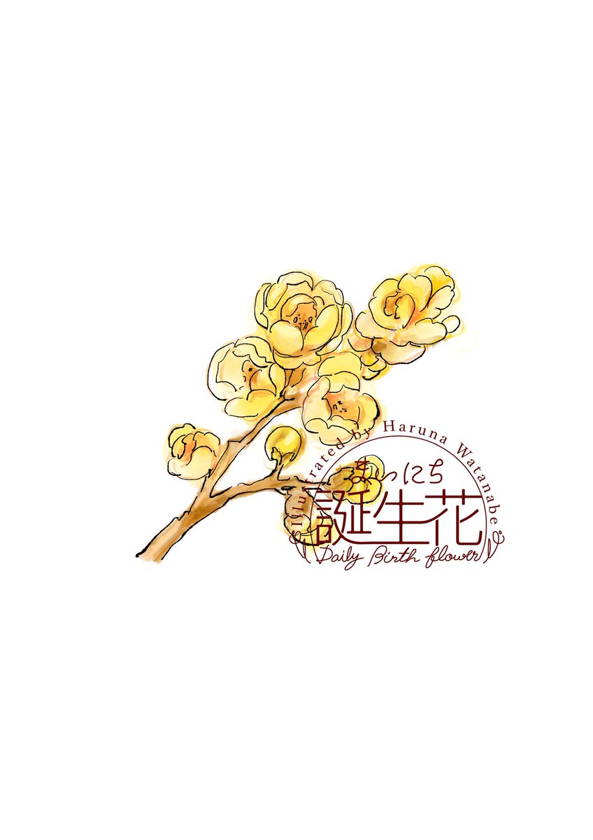 「1月12日 蝋梅 花言葉 おくゆかしさ #1日1絵 #まいにち誕生花」|渡邊 春菜のイラスト