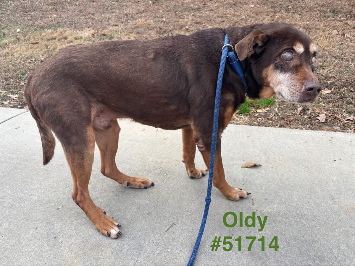 Lisa Brabson. tweet media