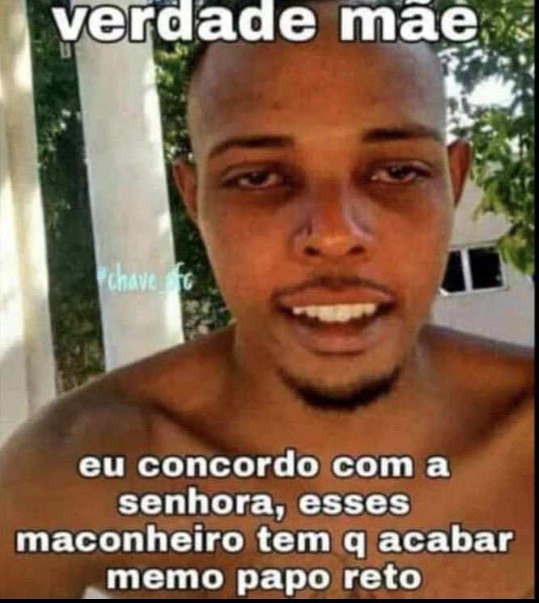 canabisbrasil's tweet image. 