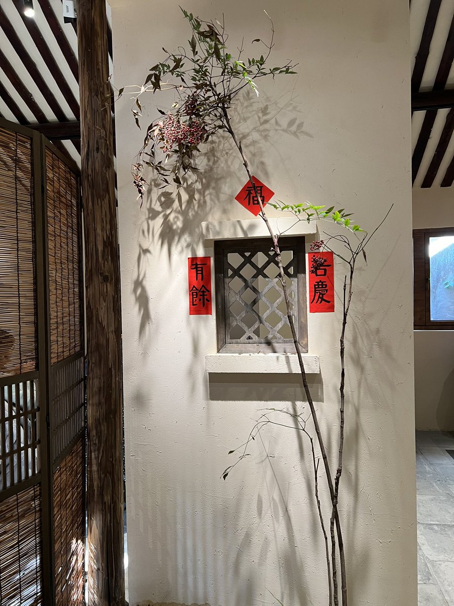 The Coziness of a Chinese-Style Teahouse 🍵