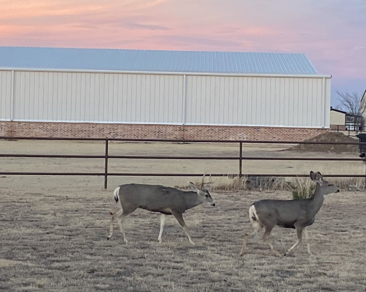 Doug Lipinski®️ tweet media