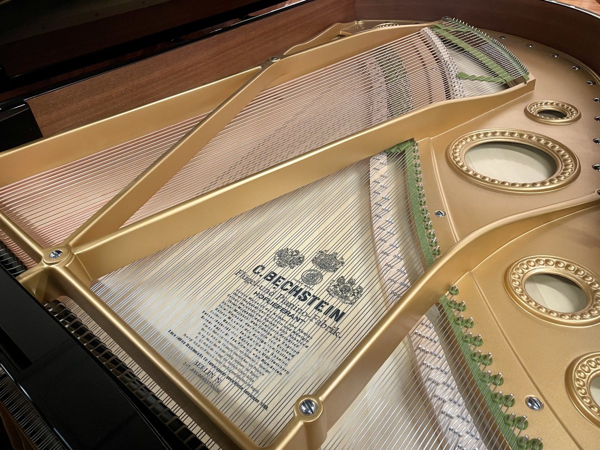 ベヒシュタイン・セントラム東京 tweet media