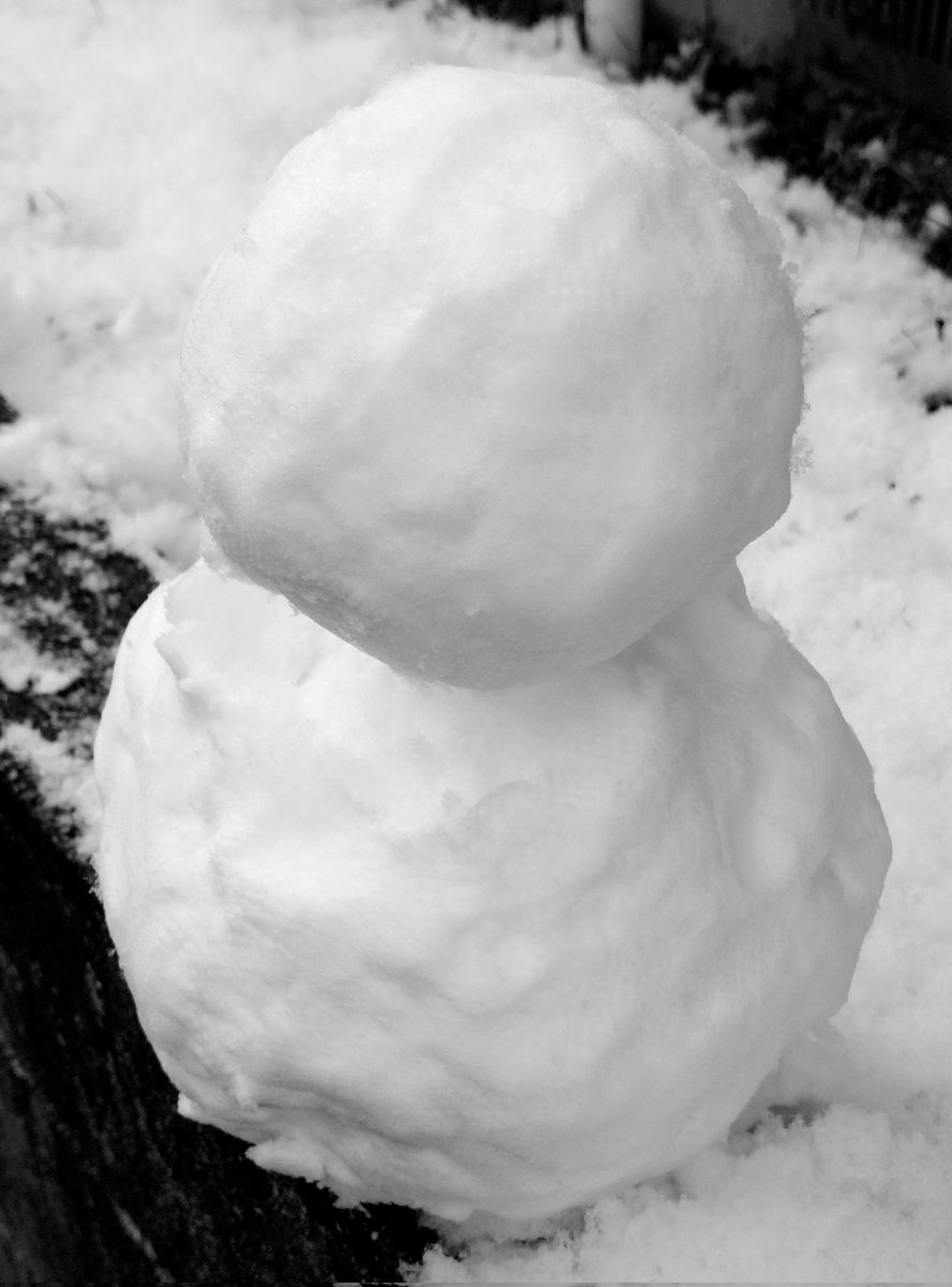 相手がいないので、雪合戦は諦めます。

代わりに雪だるまだけ作っておきました。

私もまだまだ子供ですね。