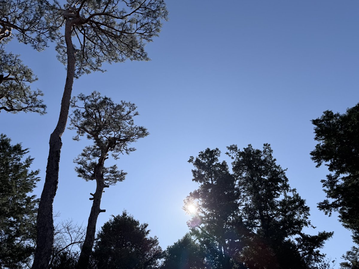 sato_thinking's tweet image. 思考と行動の順番を整えれば、結果は再現できる。

感覚や運任せではなく、考え方と行動のプロセスを整理することで、状況は意図して動かせるようになる。再現性は、偶然ではなく設計。

おはようございます。
今日も良い一日をお過ごしください！