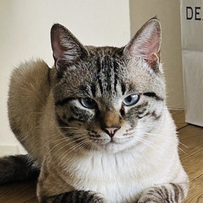 max0212164277's tweet photo. #NewProfilePic https://t.co/z26jrZ5Smm