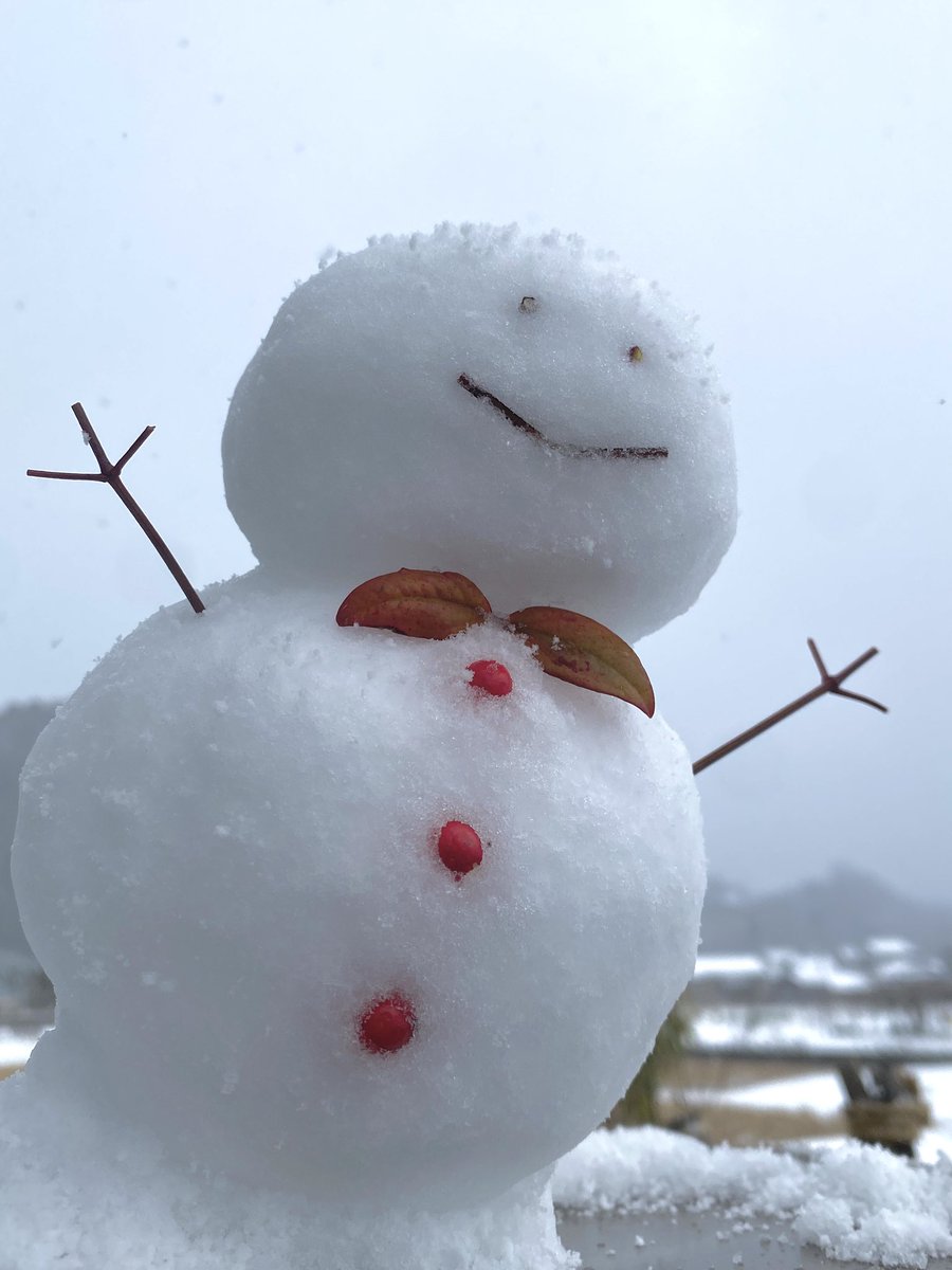ここに雪玉があるじゃろ？ ( ＾ω＾) ⊃ ❄️❄️⊂ これをこうして