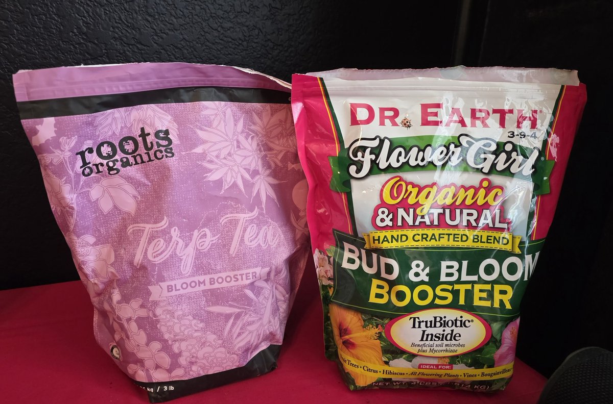 AlienFogMachine's tweet image. Start of wk4 flower in the 🫐🫐 tent. Midflower topdress is 2tbsp per gal of soil. Did 50-50 split of Dr. Earth Flower Girl &amp;amp; Roots Organics Terp Tea. Lollipopped the auto &amp;amp; nothing needed for the @ILGMOfficial 🫐 I can see through it, good airflow &amp;amp; lots of stacked buds.