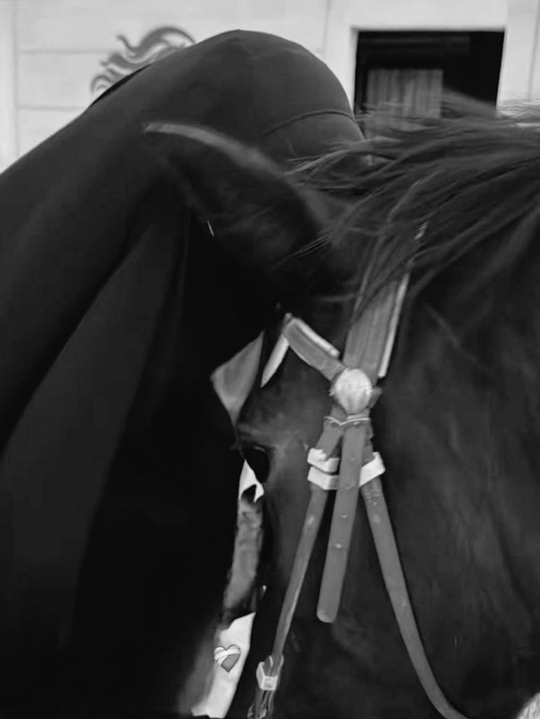 من لا تنعقد بينه وبين أشيائه رابطة وجدانية وعاطفية، أشكّ في دفء إنسانيته.
أنا والله كثيرًا ما أمرّ على بعض الجمادات، فأمدّ يدي عليها كأنّي أمسح على قلبي.