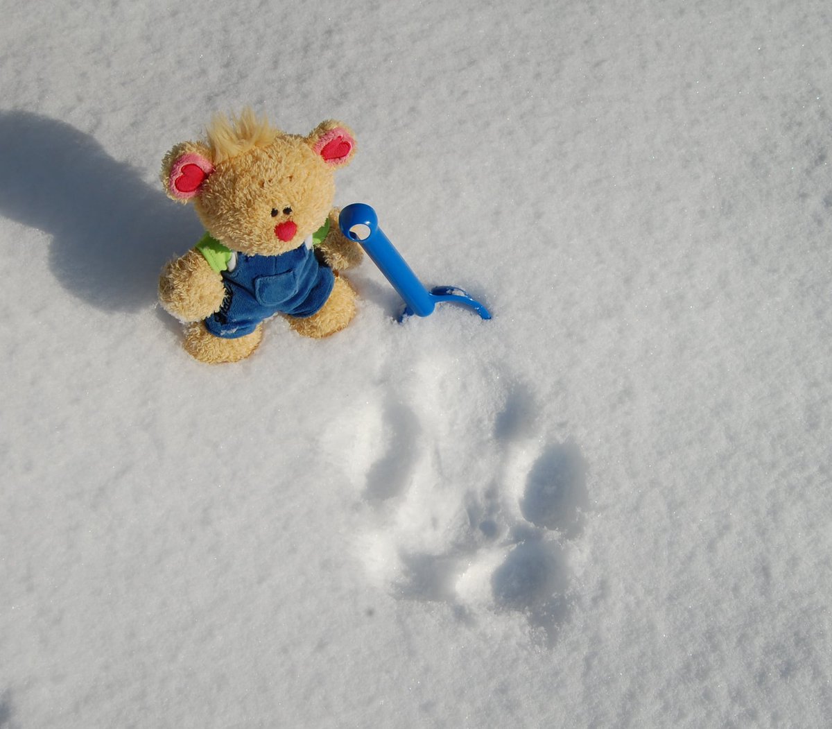 Die Klimaerwärmung ist super!