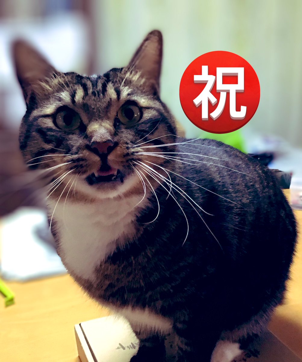 かめきち (@E9Ep7HchhwchZot) / Posts / X