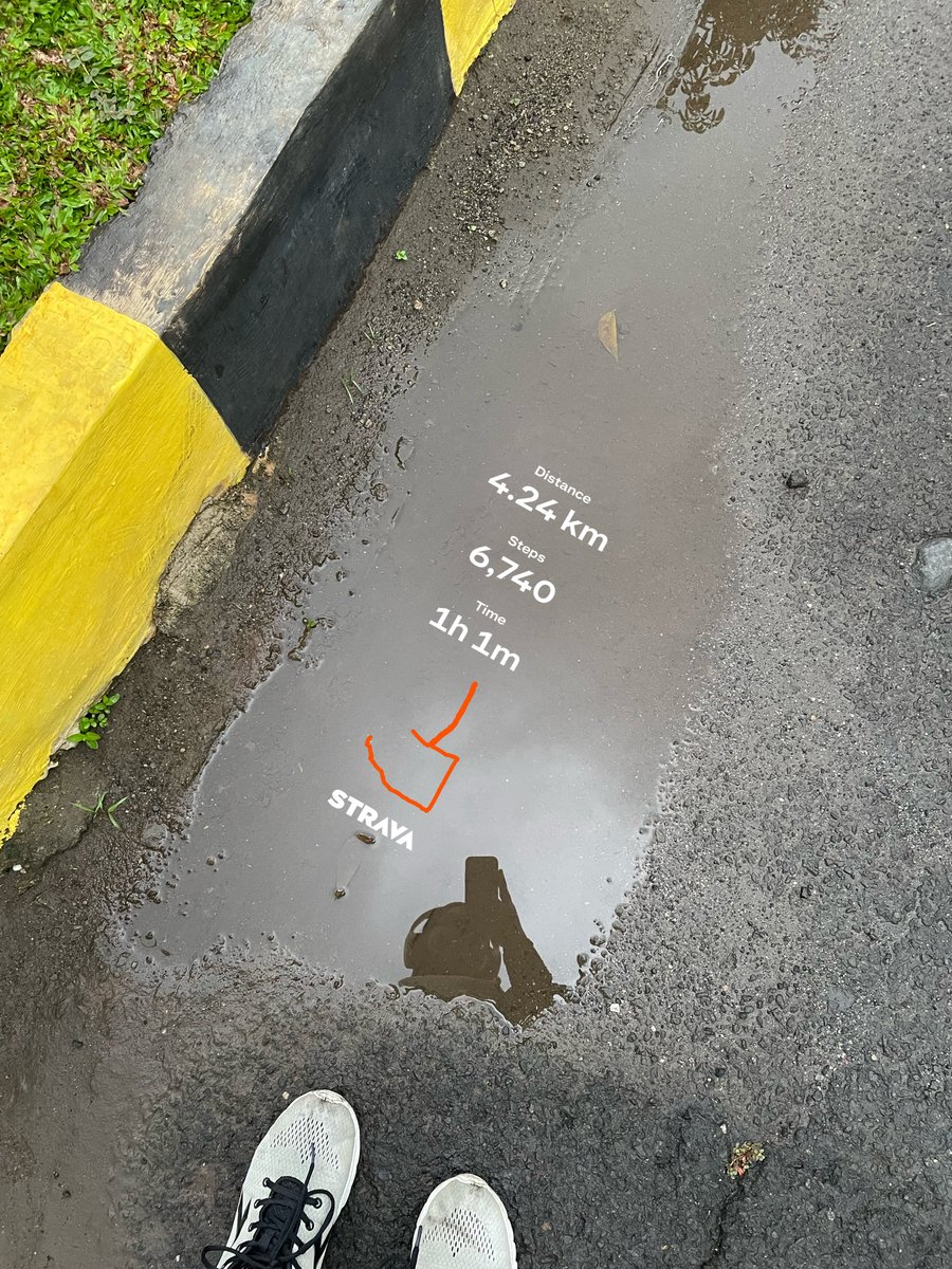 Lorem ipsum tweet media