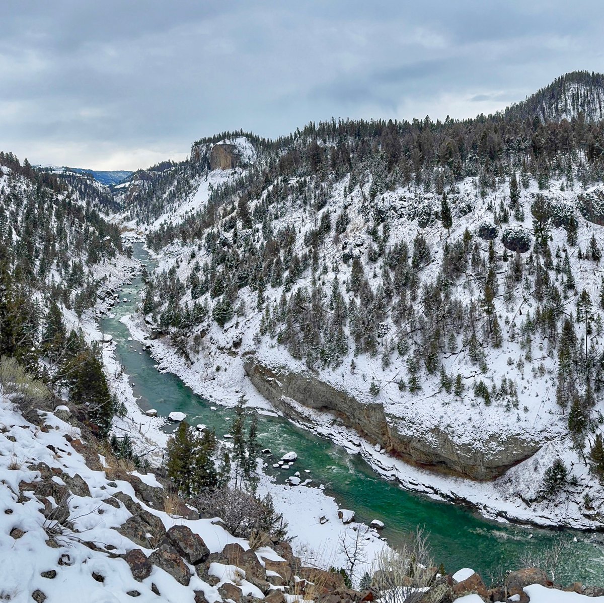 bisontattooguy's tweet photo. Today’s view of the Yellowstone River from inside the park. https://t.co/ltrGGDYlaj
