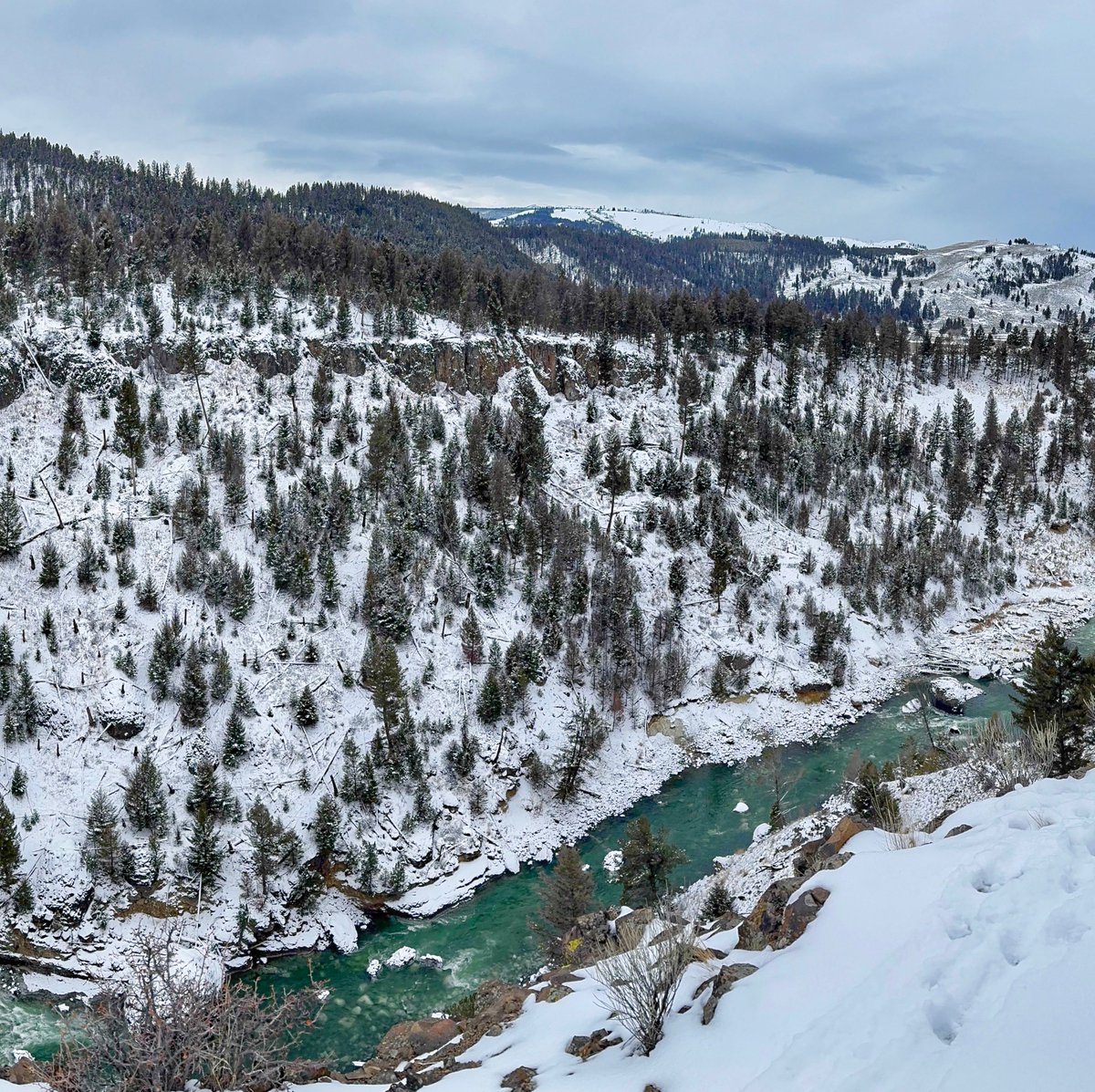 Today’s view of the Yellowstone River from inside the park.