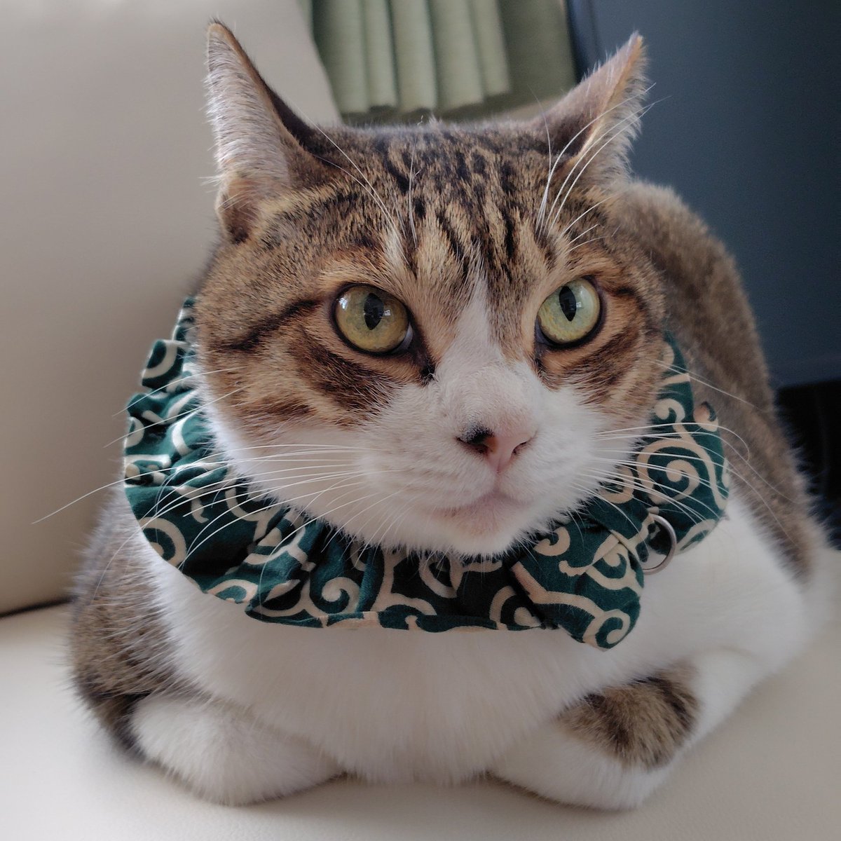 のぶりん (@Nana7Poirot1) / Posts / X