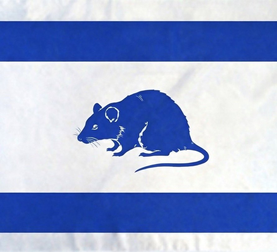 DeMoralidad's tweet image. Quieren saber quiénes son los financistas de los falsos mapuches que incendian el sur Argentino y Chileno?