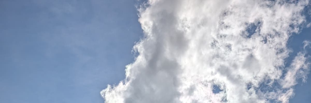 Mark Nelson tweet media