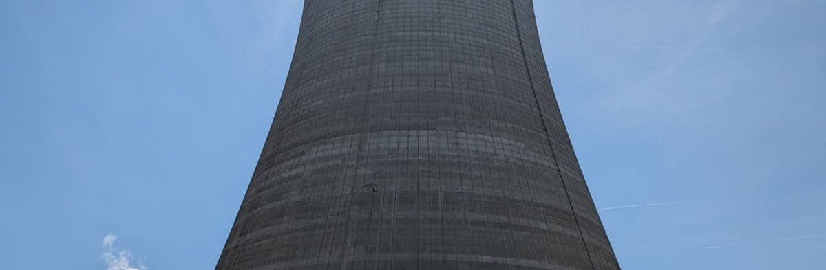 Mark Nelson tweet media