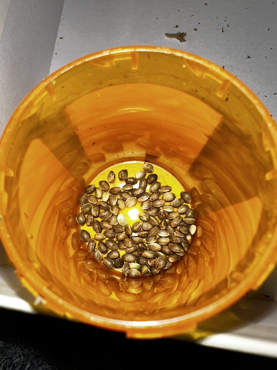 Dankmaster1996 tweet media