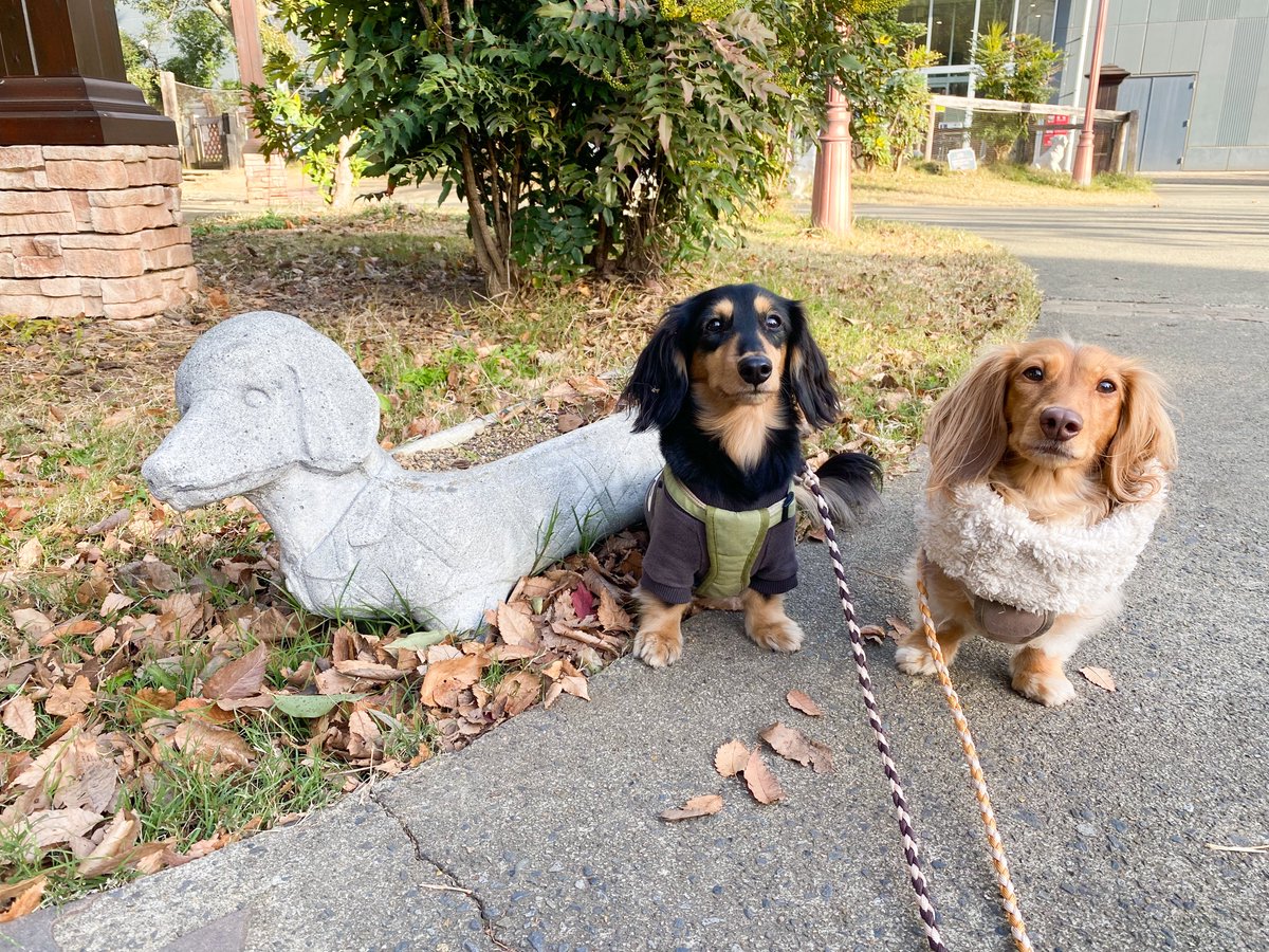 マロとなぎ (@marokun2223) / Posts / X