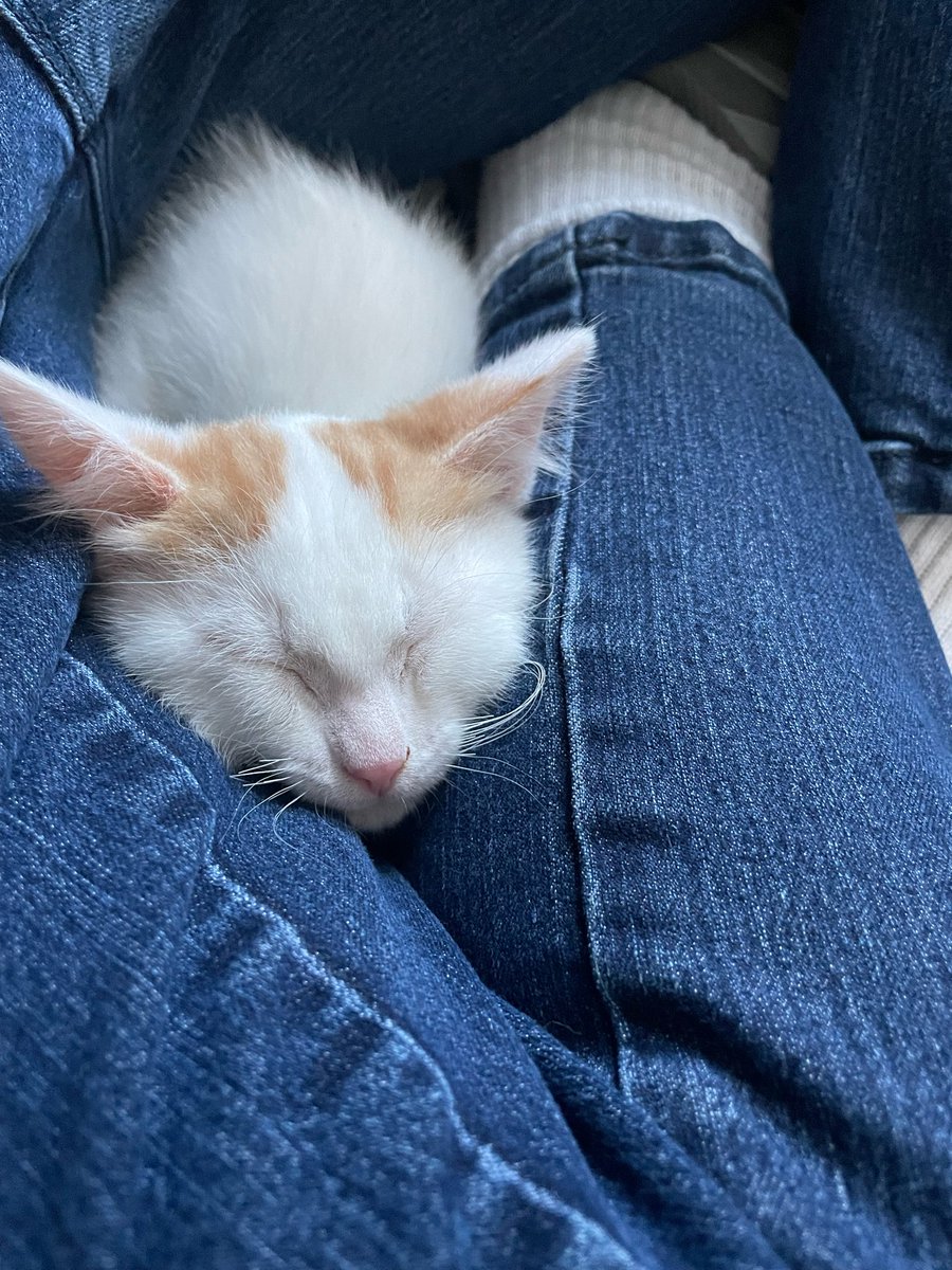 Katie Hofer tweet media