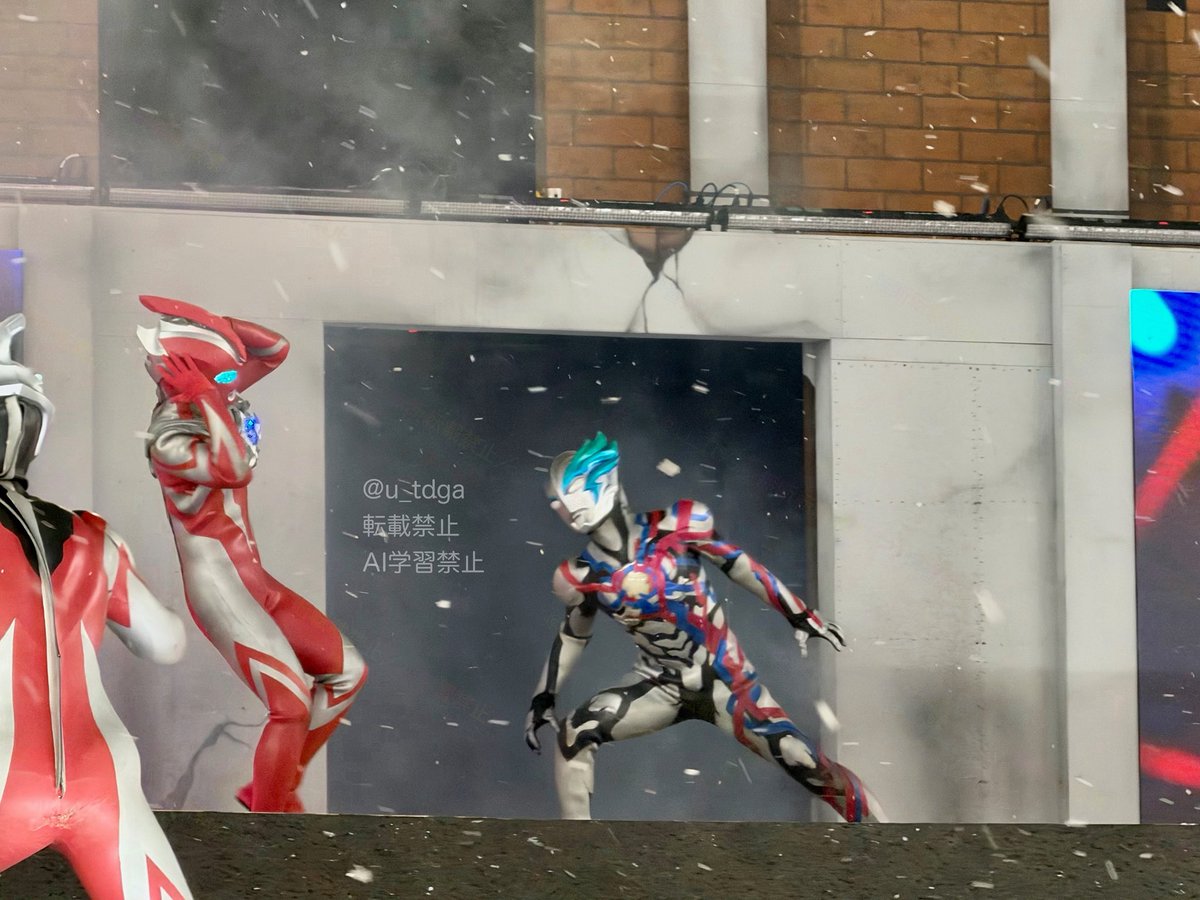 柑橘 (@baerenlilien) / Posts / X