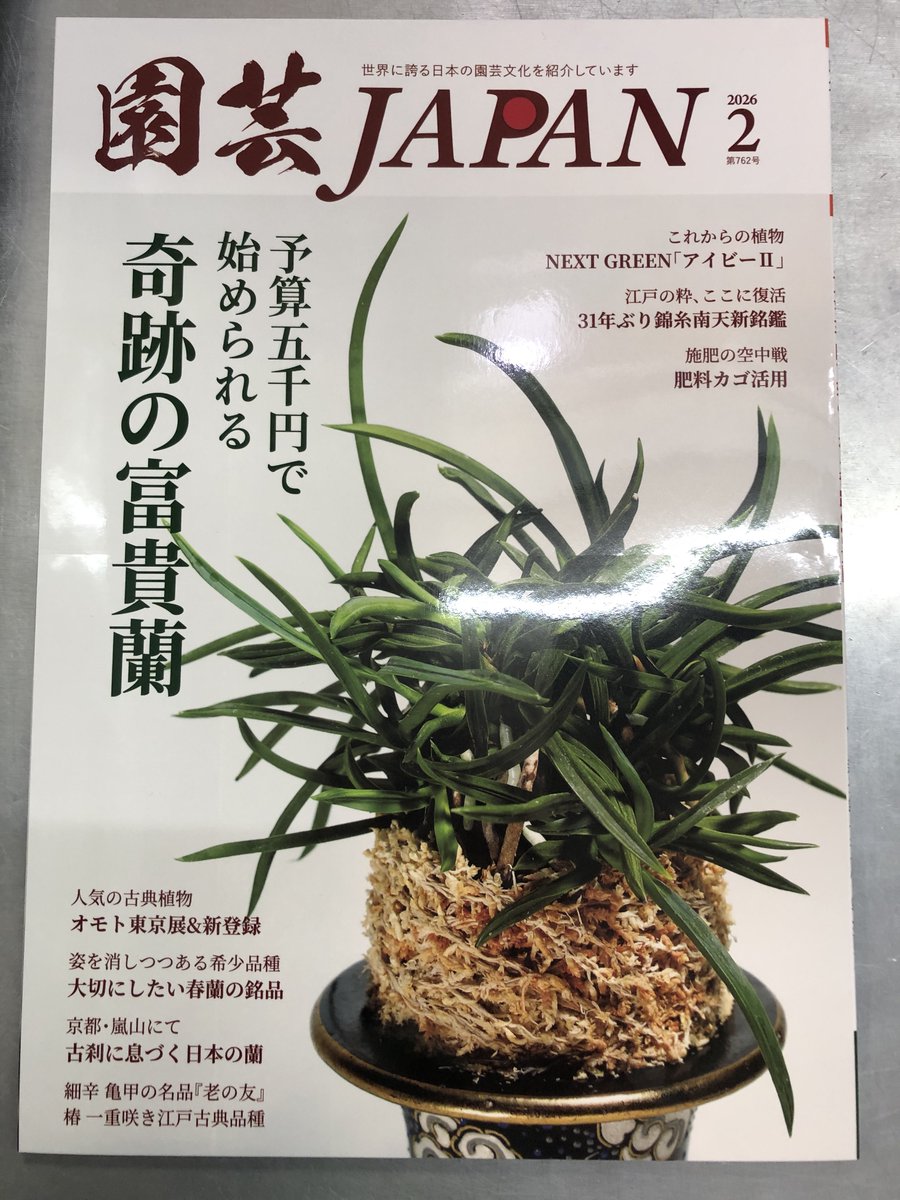 園芸JAPAN 2月号入荷中 今年、富貴蘭を始めてみようと思っている方必見