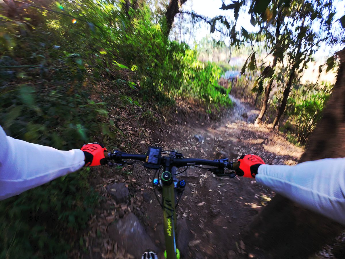 m0lokita's tweet photo. Ayer fue un buen dΓa en el bosque, ya le tocaba salir a pasear a la #Alubike #XTADS en el #BosqueLaPrimavera ππΌ
