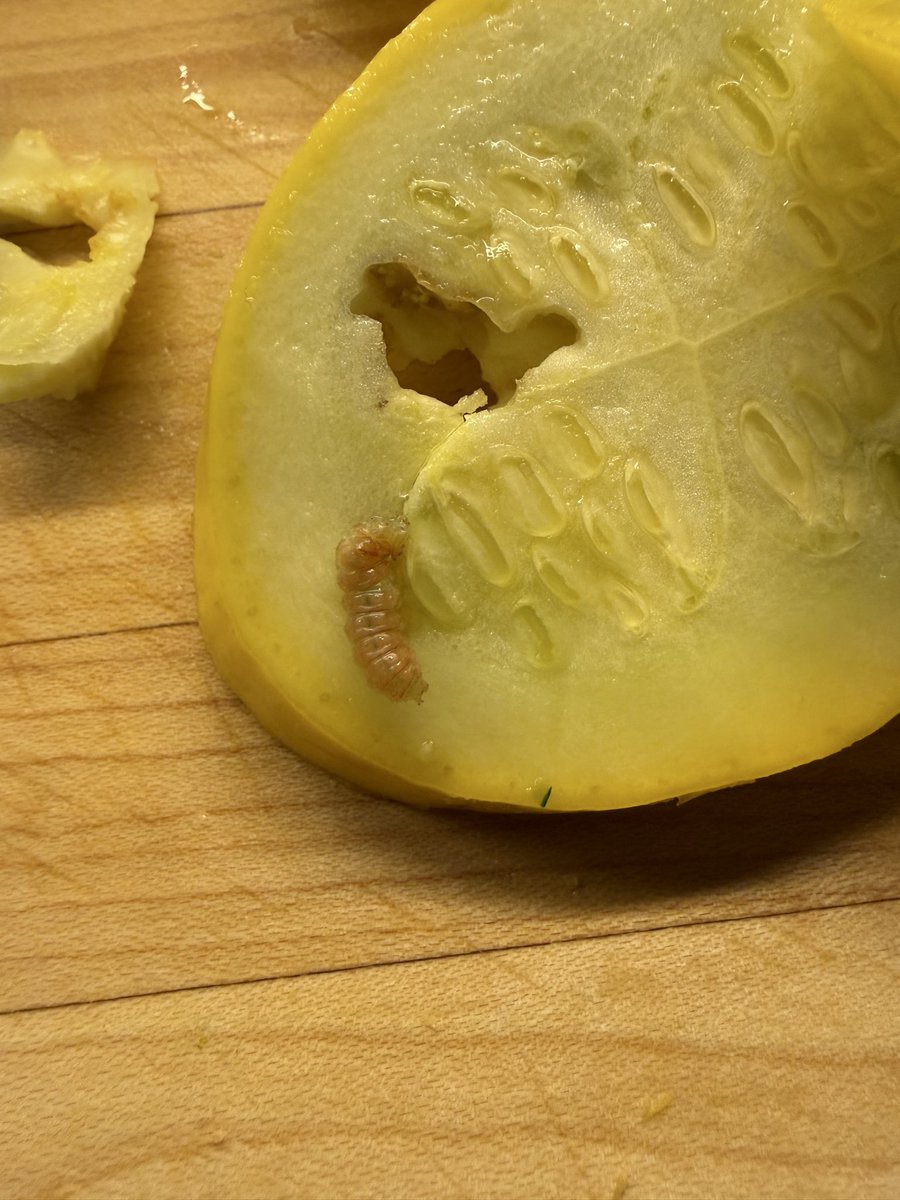 Matt Smith tweet media