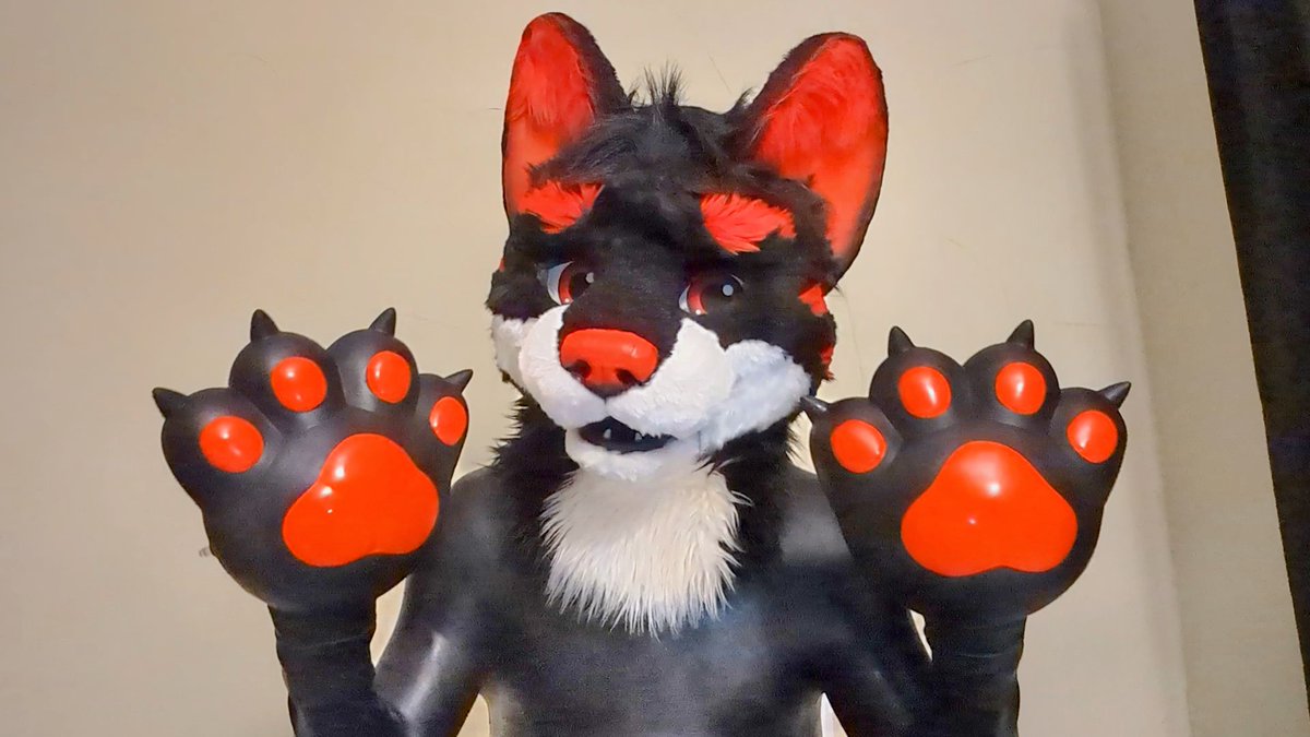 Windscar tweet media