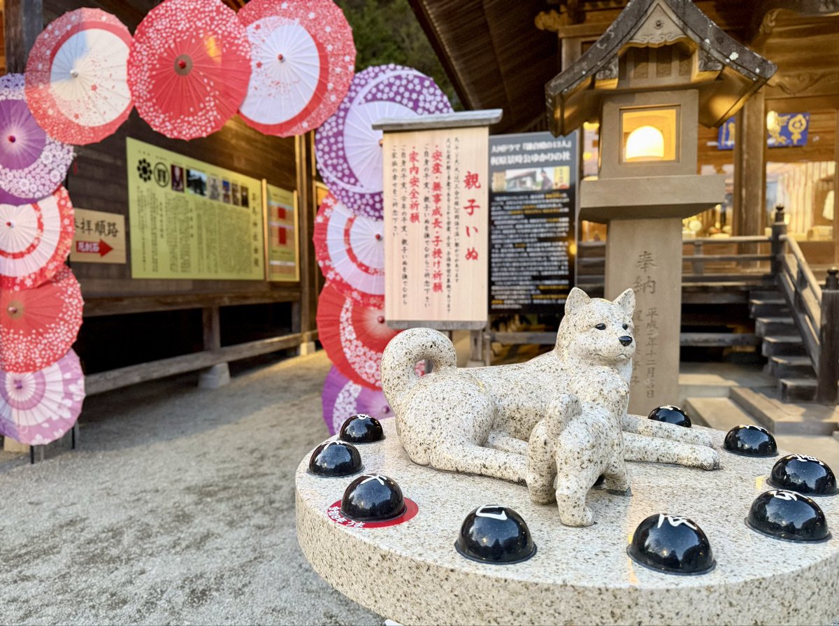 mgmgmoc's tweet photo. 早馬神社行ってきたから
今年は万事うまくいくぞ〜🐴 https://t.co/7Tk9nGp2o3