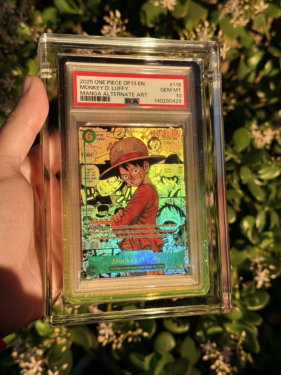 Bando 392 🧩 tweet media