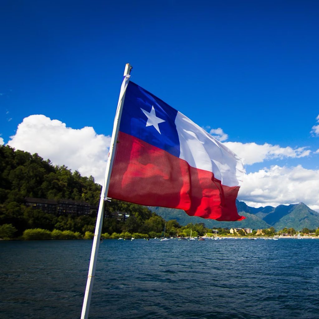 Bad Bunny detiene su concierto por un aparente incidente con un fanático.