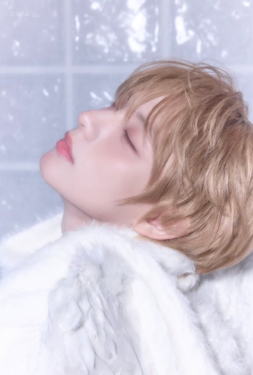 xodiacfiles's tweet image. Ethereal Sing 🤍🪽🫧

#XODIAC #소디엑 #SING #씽