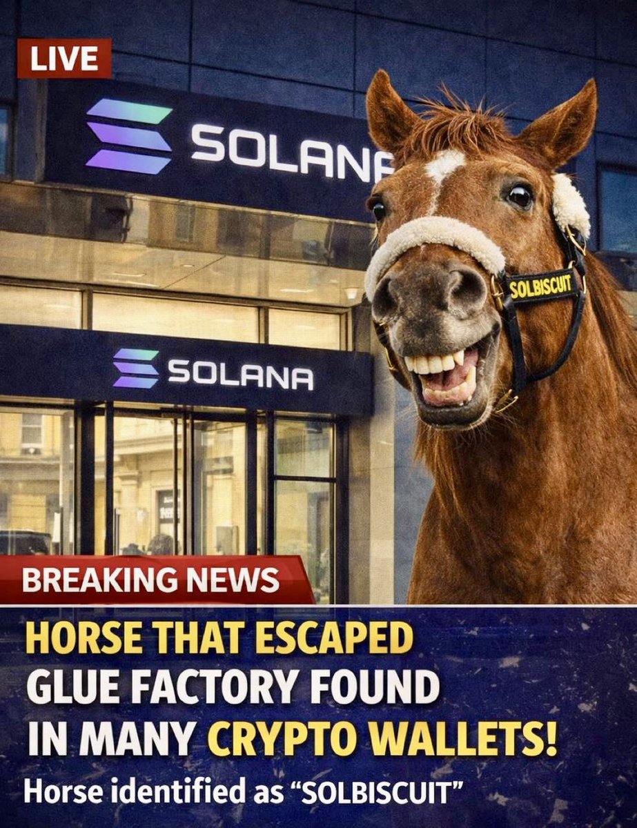 Joelliuzzi tweet media