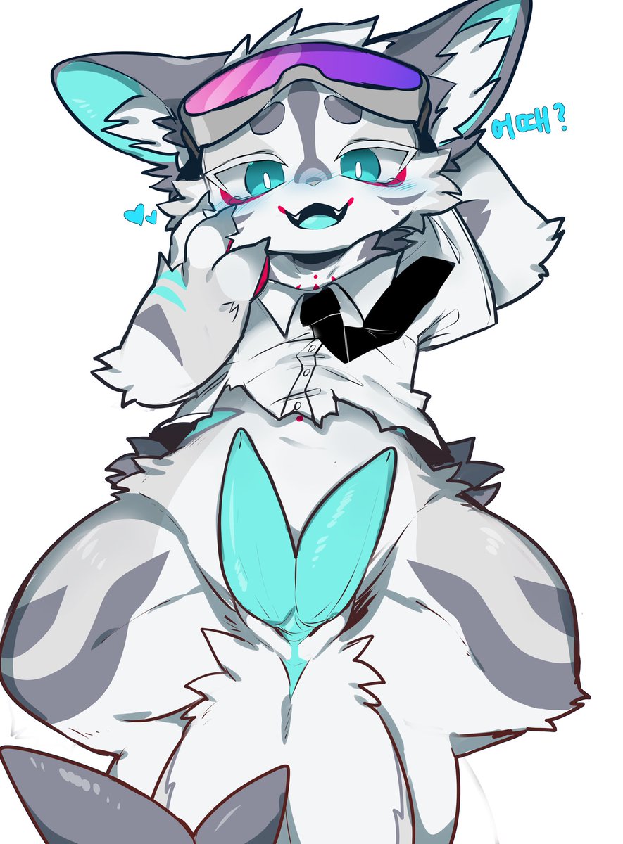 Waru0130's tweet image. 🦈