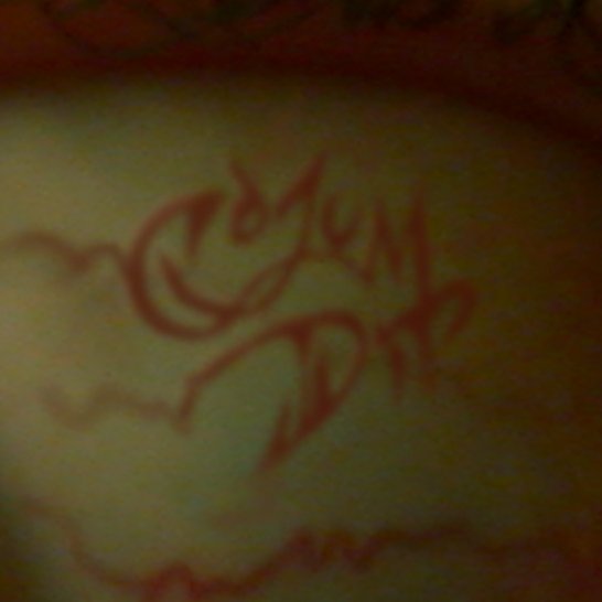 Cojumpendium's tweet image. 👁️