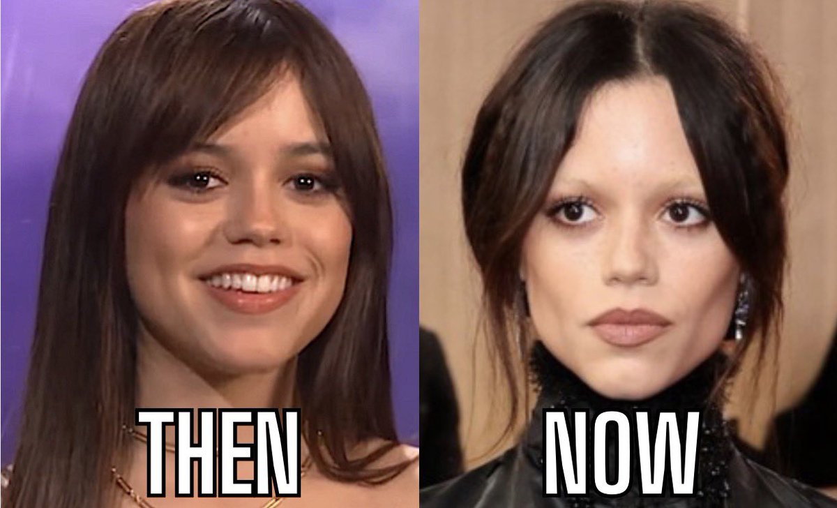 Truth Seeker tweet media