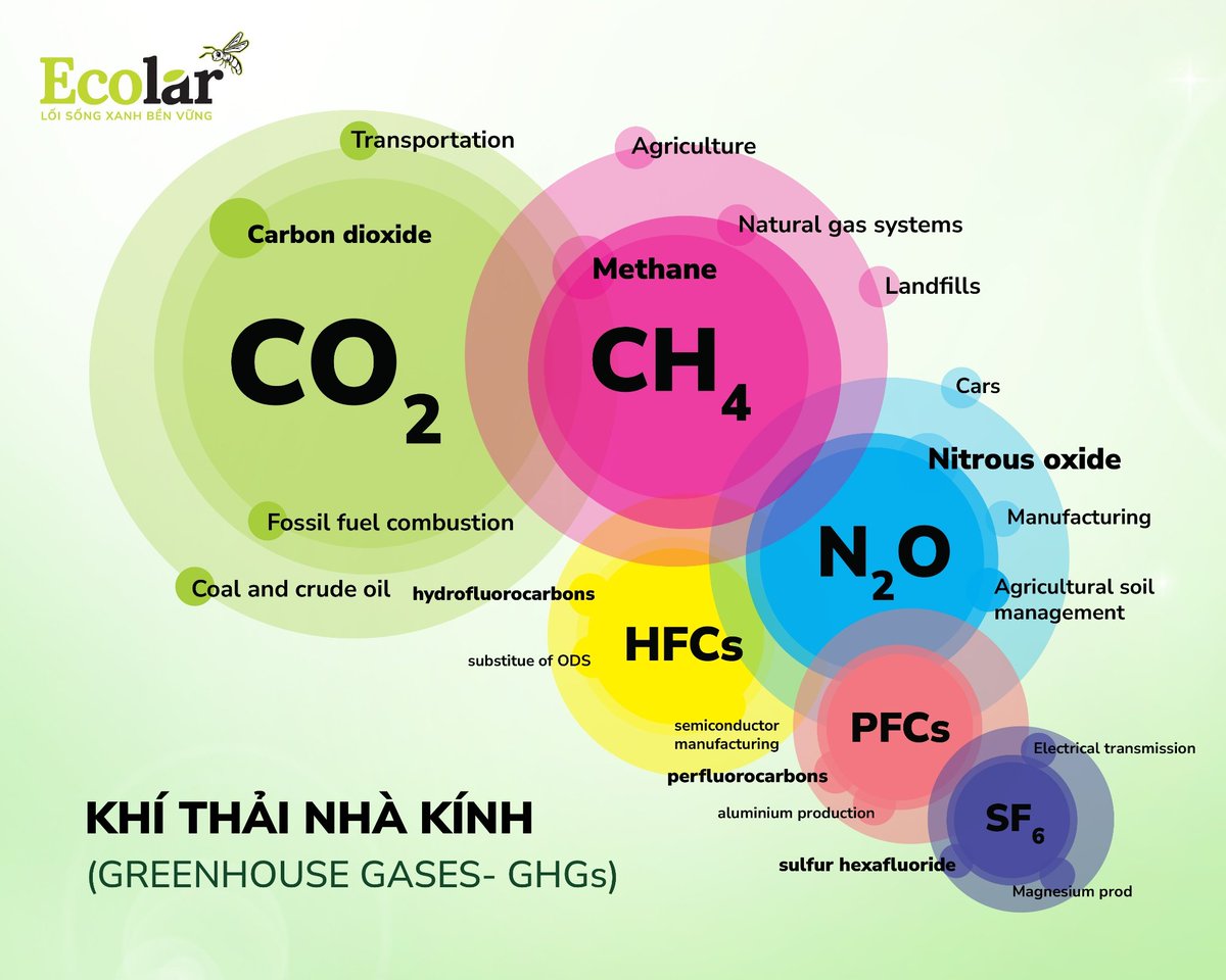 TranMinhEcolar's tweet photo. 🌍🌱 Trái Đất đang nóng lên từng ngày, và BSFly – một sinh vật rất nhỏ – lại đang lặng lẽ giúp giảm phát thải, góp phần chống biến đổi khí hậu theo cách tự nhiên và bền vững.
Xem thêm tại https://t.co/tiJiFaRpYw #Ecolar #Loisongxanhbenvung
#BSFly #SongXanh https://t.co/wkcxIO6v8u