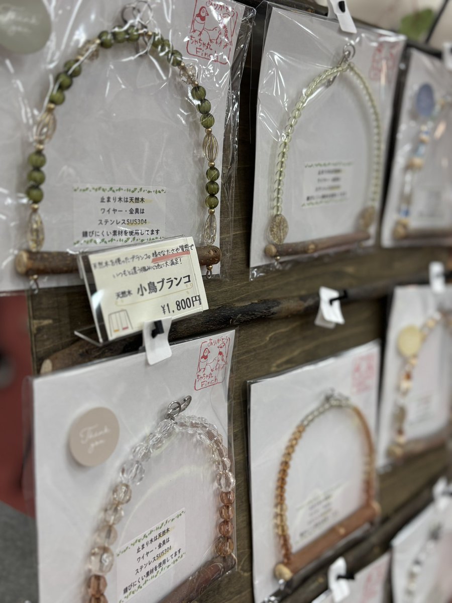 ちゃちゃ丸Finch(個人ブリーダー) (@idyqsn2wtktwmwm) on Twitter photo 