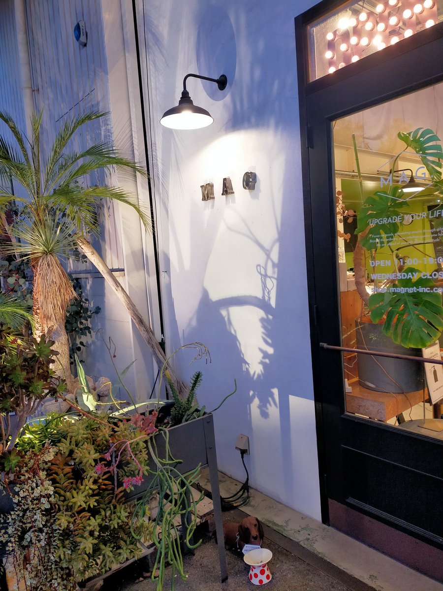 nondan12's tweet image. 娘の発表会帰りに
前から行きたかったお店
MAG.
ストックモルック棒ゲット🥖

モル友への
プレゼントラッピングも可愛いくしてくれた🥳

メッセージ残して帰ってきたから
気づいてくれたらいいなぁ〜💕

#MAG