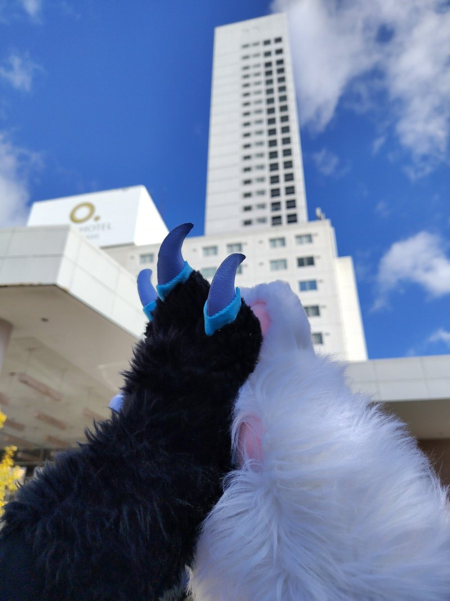 118_max's tweet image. ありがとうロワジ‼️
ありがとうJMoF2026‼️
🐲(@Hal_SpringShark)
📸(@Flammie_Gf)