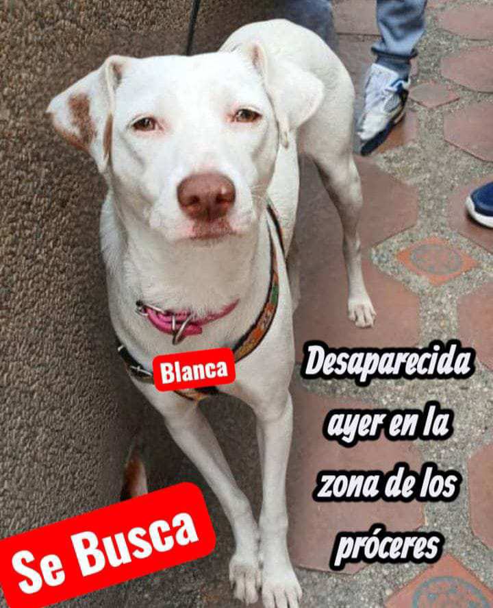 Difundo. Desde el 15/12/25 la buscan.  04241207160 no aparece. Caracas.