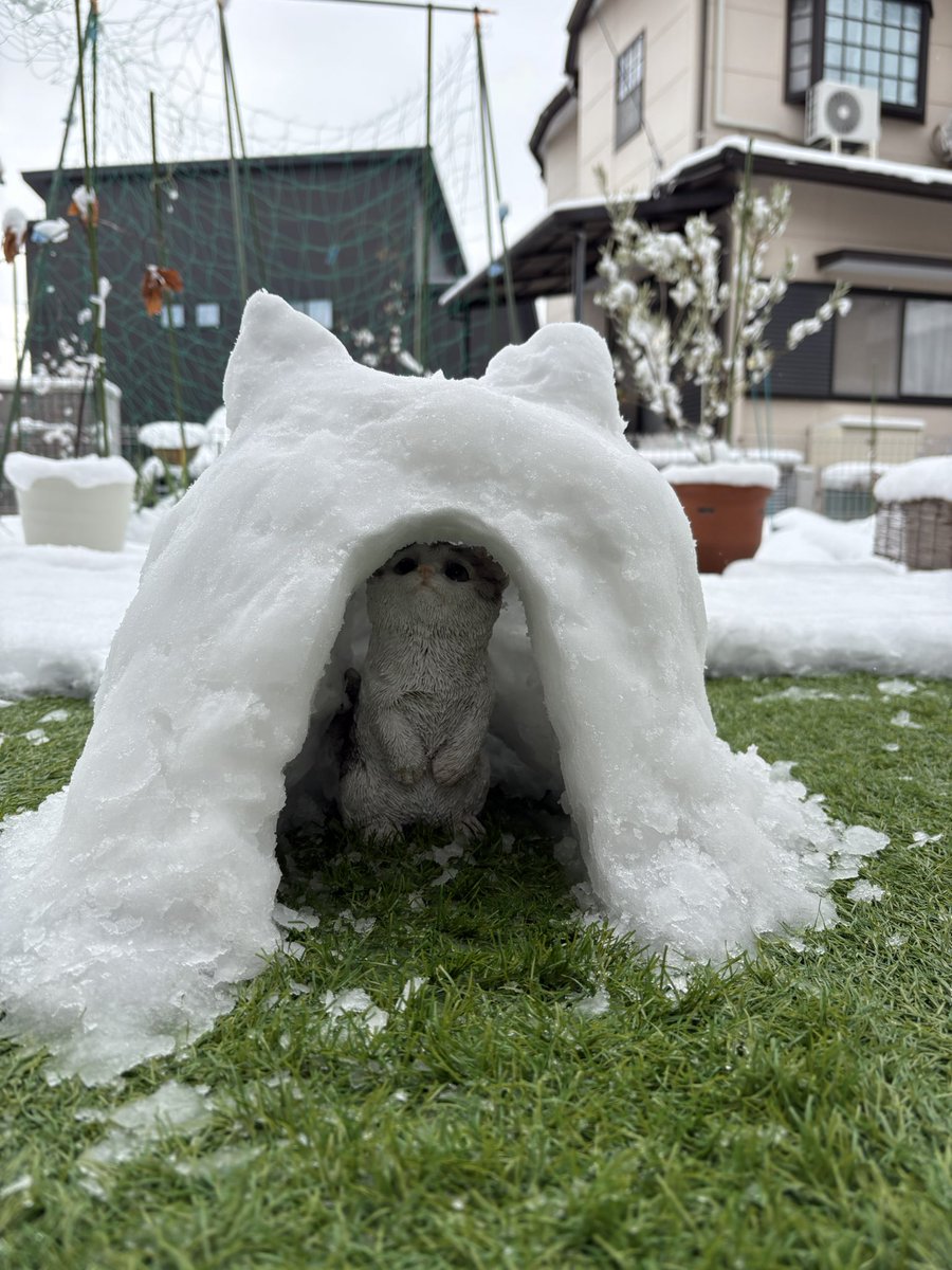 ays0915's tweet photo. 雪遊び。猫のかまくら作った https://t.co/ohfcv09XiV