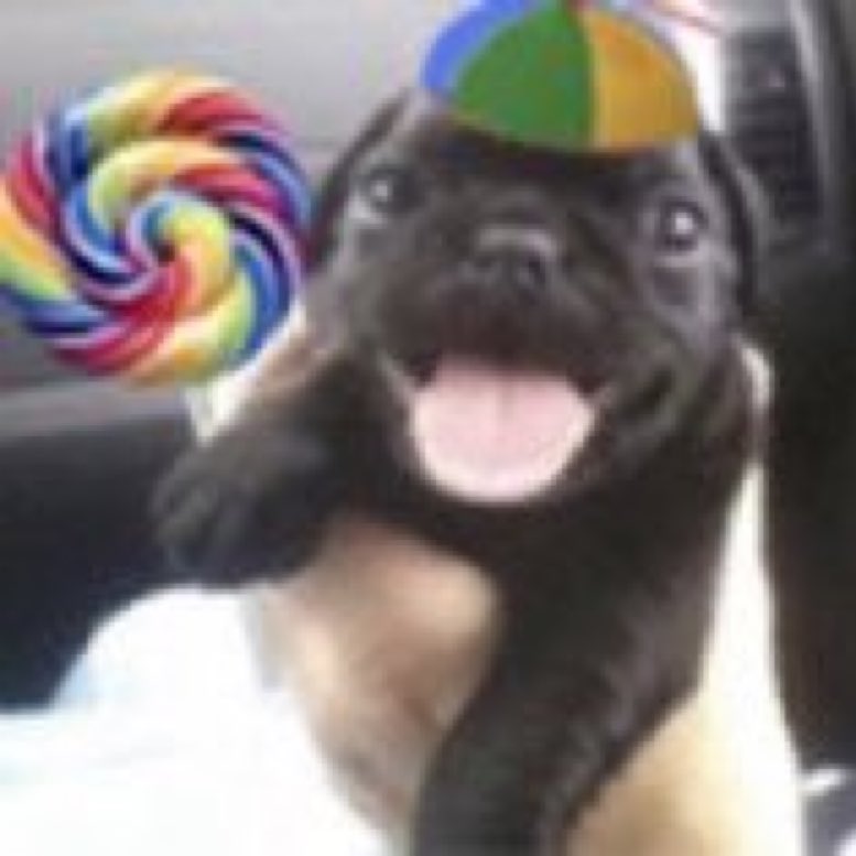 chonsvicthl's tweet image. eu quando encontro alguém que gosta das mesmas coisas que eu