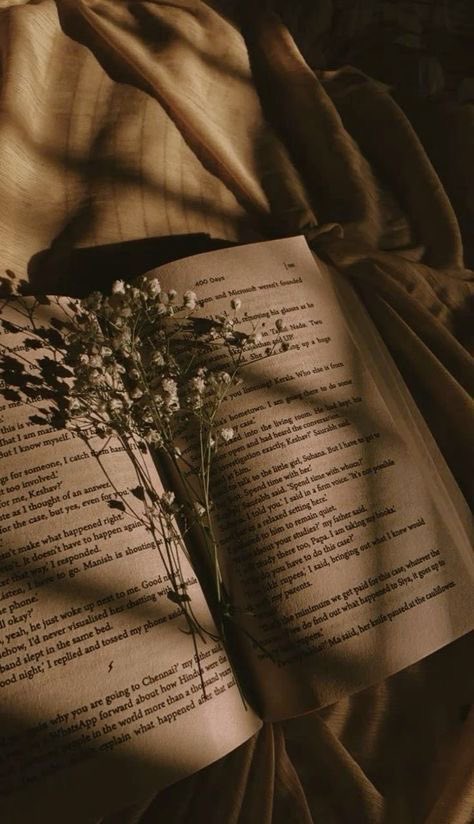 narryspmcy's tweet photo. 𑣲 . . . minhas leituras de 2026 

“Ler é, provavelmente, uma outra maneira de estar no lugar” — José Saramago 

— a thread https://t.co/GsRNsGzHlF