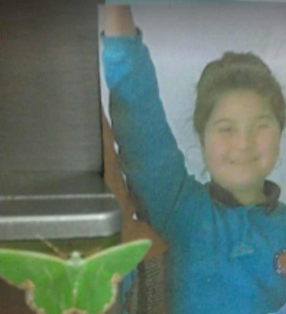 Kuşlar bu saatte öten kuşlar 
Cennetten mi geliyorsunuz
Bir haberiniz varmı Nazımdan 
Meleğim ne yapıyor 
Haber ulaştırın kızıma 
Babacığın çok özledi, sesini, doyumsuz kokunu, gözlerinin sönmez ışıltısını 
Hasret içinde... 
Haber ulaştırın kızıma kuşlar...